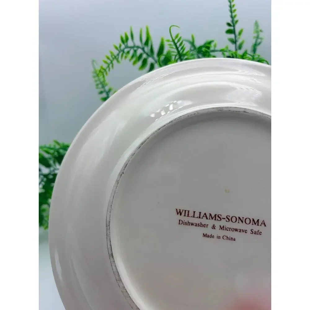 Williams Sonoma breakfast plate. No damage.